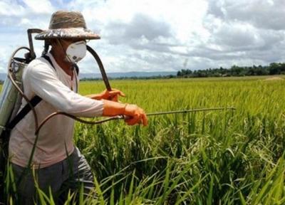 توانایی فنی دانش بنیان ها در فناوری های جدید مبارزه با آفات