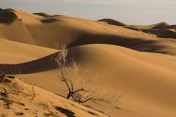 کویر مرنجاب باید ساماندهی شود کویر مرنجاب باید ساماندهی گردد